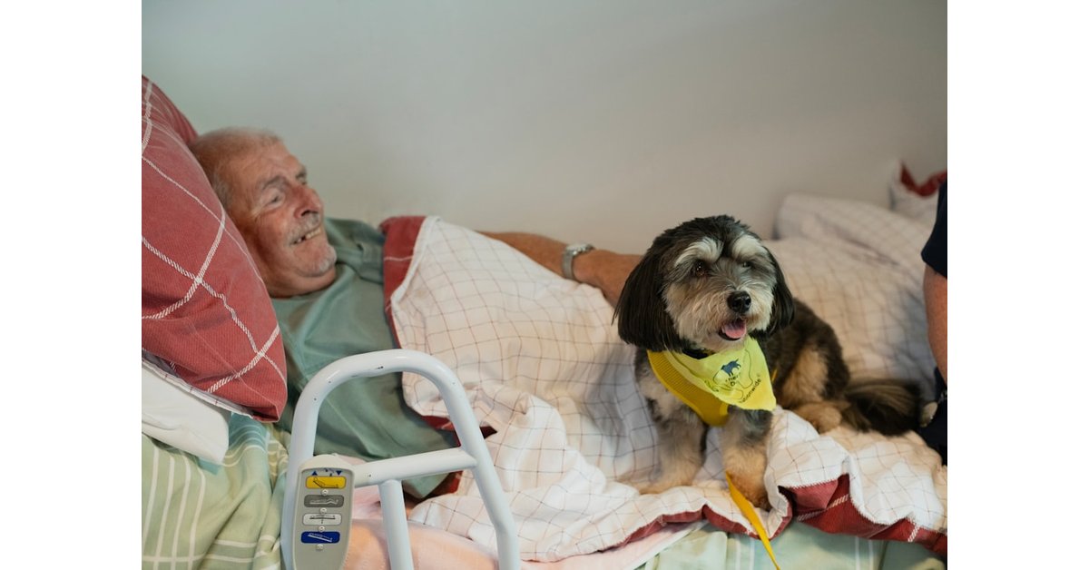 Elderly man and dog in bed
